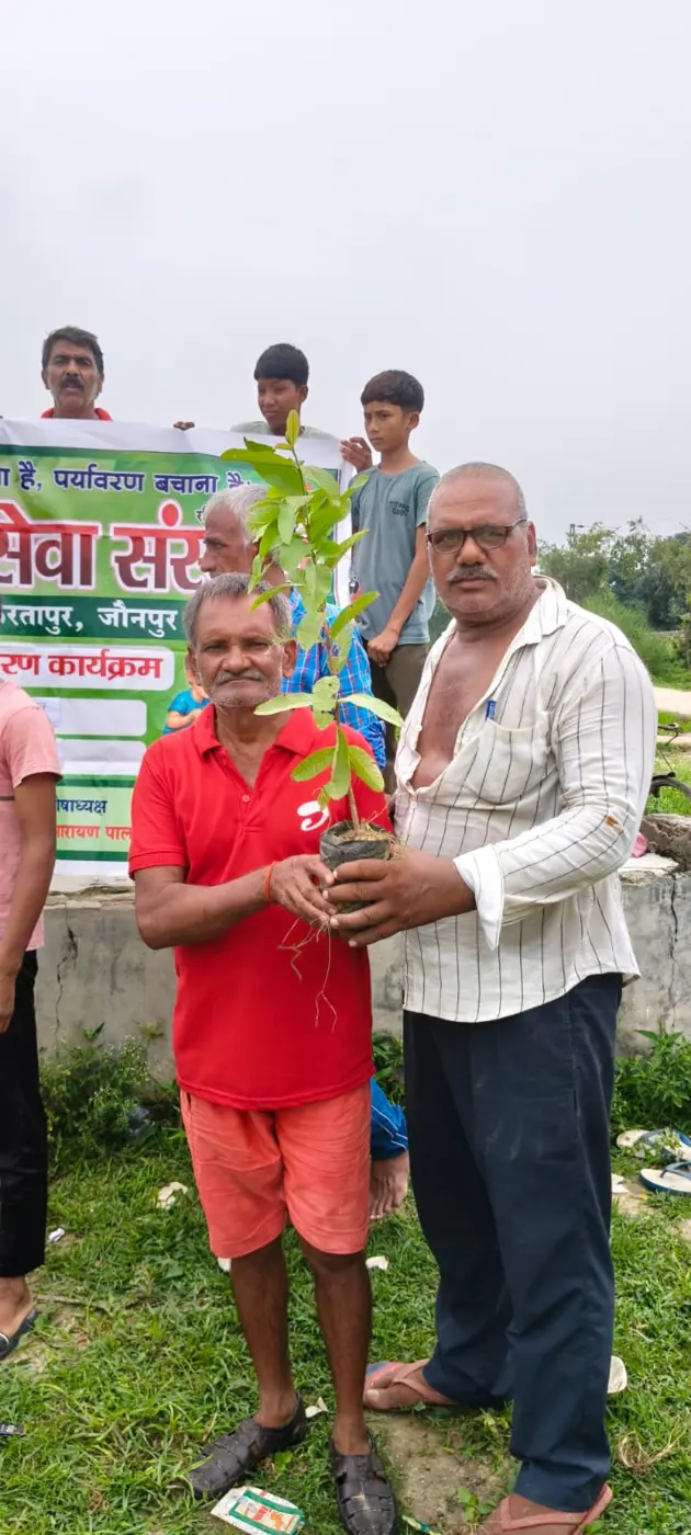 Volunteer planting a sapling
