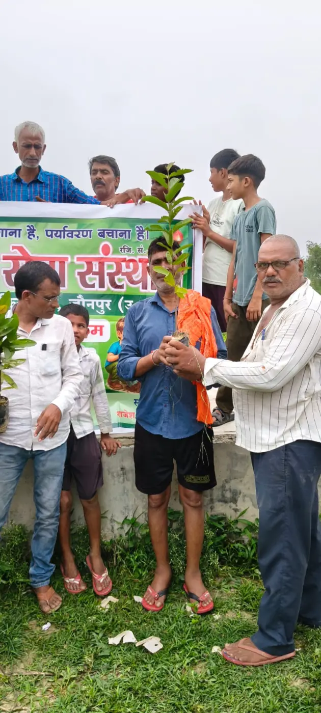 Sapling plantation during NGO activity