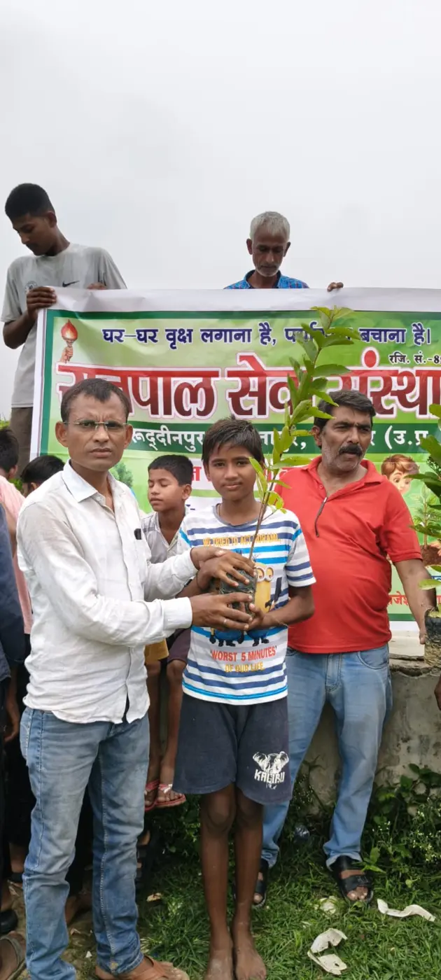 Tree plantation volunteer activity