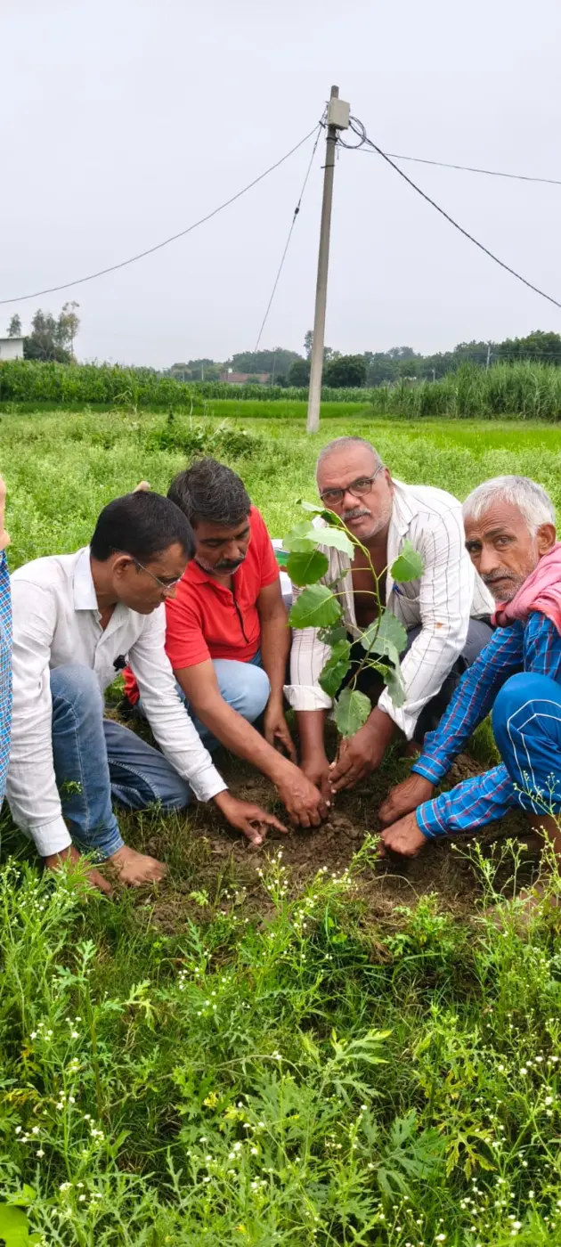 Planting a sapling for a greener future