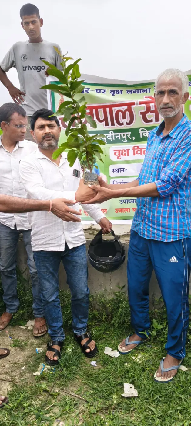 Volunteer caring for a newly planted sapling